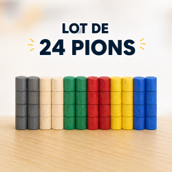 Pions pour jeux TACTIK - GO49 - Chemillé en Anjou - Angers - Cholet - Saumur